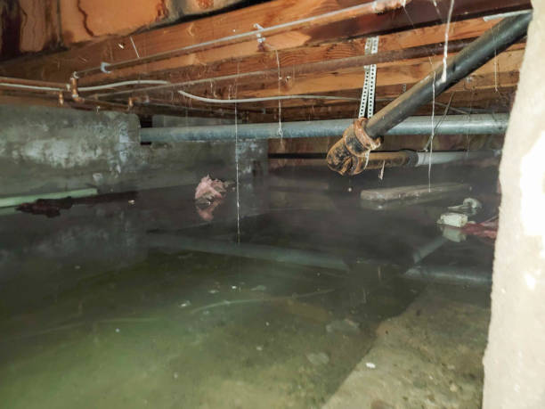 Best Water damage restoration near me  in Rifle, CO