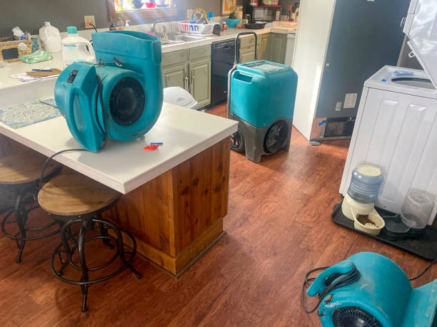 Best Water damage cleanup near me  in Rifle, CO