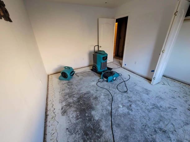 Best 24-hour water damage restoration  in Rifle, CO