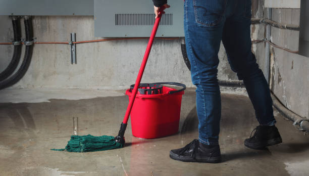 Best Basement water damage restoration  in Rifle, CO