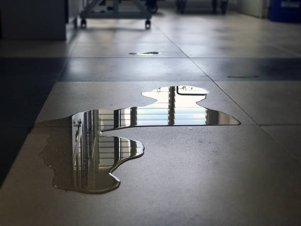 Best Carpet water damage restoration  in Rifle, CO