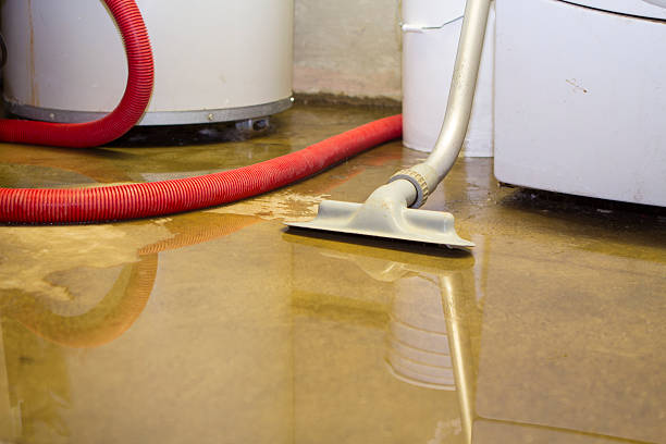 Best Water damage restoration services  in Rifle, CO