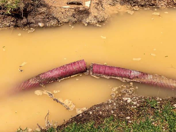 Best Water damage restoration near me  in Rifle, CO